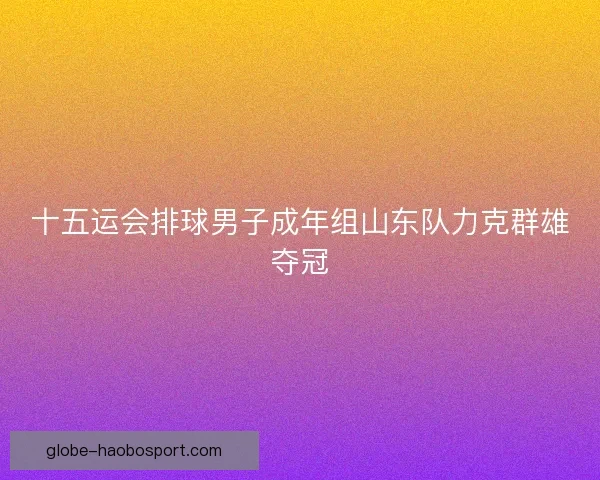 十五运会排球男子成年组山东队力克群雄夺冠